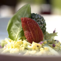 petits-plats-celestin-vierzon